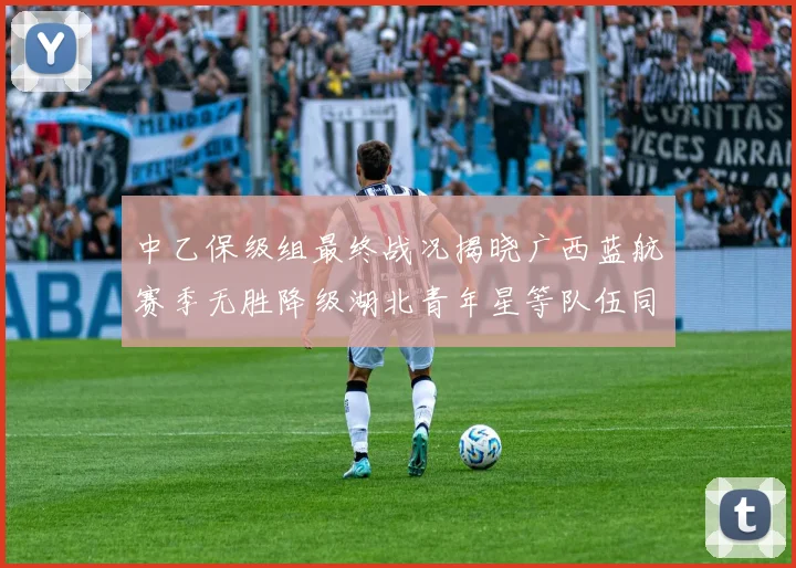 中乙保级组最终战况揭晓广西蓝航赛季无胜降级湖北青年星等队伍同遭降级