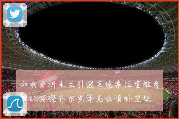 加利分析米兰引援困境弗拉霍维奇难以实现齐尔克泽无法填补空缺