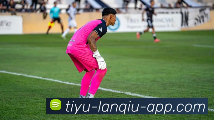 篮球赌注APP 封面图